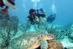 5183980e-6c1b-47c7-8d8a-7f196c06a660